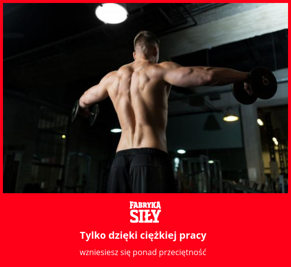 Tylko dzięki ciężkiej pracy - motywacja do treningu - Fabryka Siły