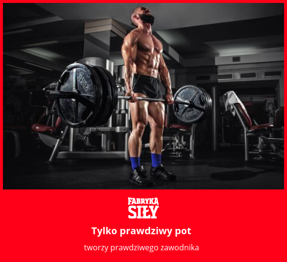 Tylko prawdziwy pot - motywacja do treningu - Fabryka Siły