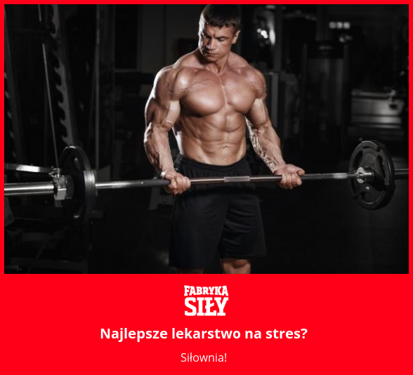 Najlepsze lekarstwo na stres? - motywacja do treningu - Fabryka Siły