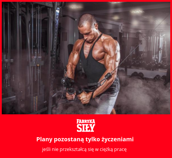 Plany pozostaną tylko życzeniami - motywacja do treningu - Fabryka Siły