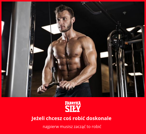 Jeżeli chcesz coś robić doskonale - motywacja do treningu - Fabryka Siły