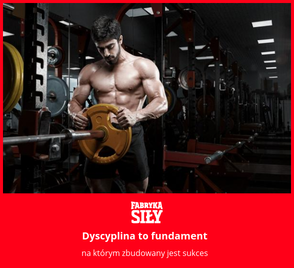 Dyscyplina to fundament - motywacja do treningu - Fabryka Siły