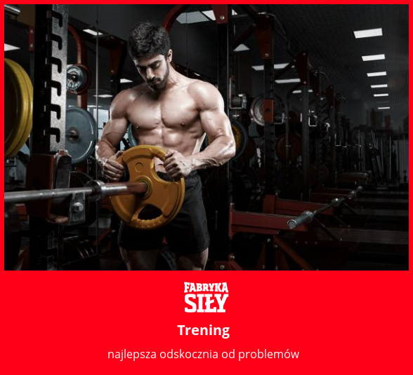 Trening - motywacja do treningu - Fabryka Siły