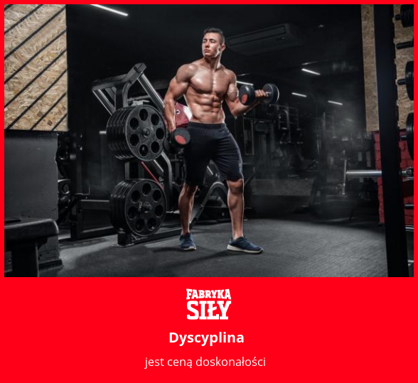 Dyscyplina - motywacja do treningu - Fabryka Siły