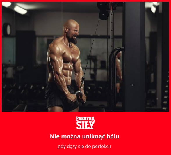 Nie można uniknąć bólu - motywacja do treningu - Fabryka Siły