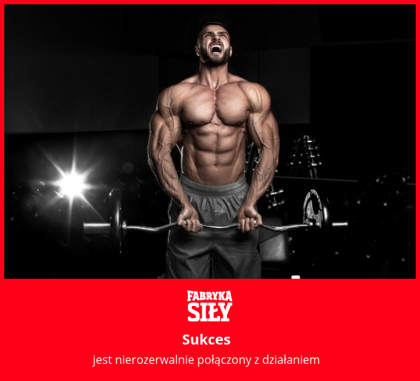 Sukces - motywacja do treningu - Fabryka Siły