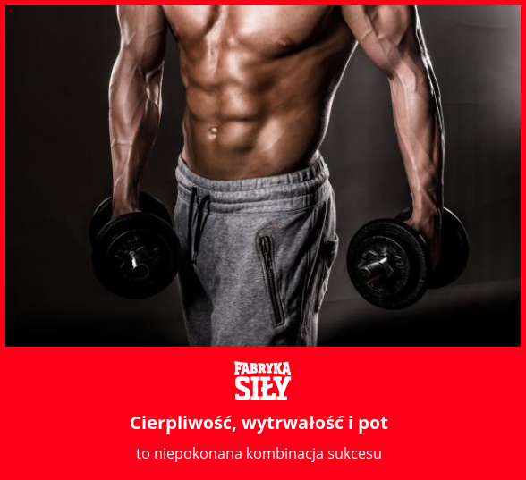 Cierpliwość, wytrwałość i pot - motywacja do treningu - Fabryka Siły