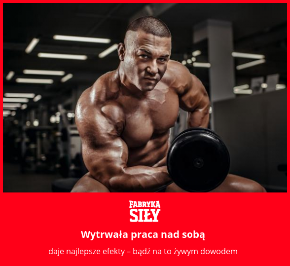 Wytrwała praca nad sobą - motywacja do treningu - Fabryka Siły