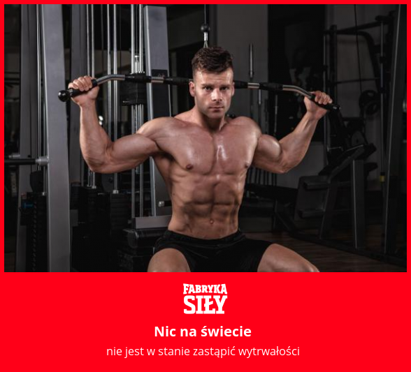Nic na świecie - motywacja do treningu - Fabryka Siły