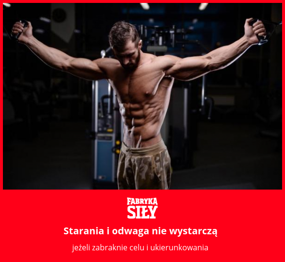 Starania i odwaga nie wystarczą - motywacja do treningu - Fabryka Siły