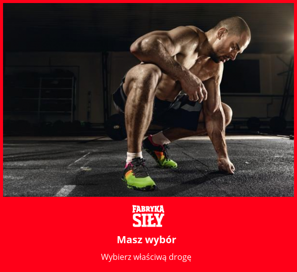 Masz wybór - motywacja do treningu - Fabryka Siły