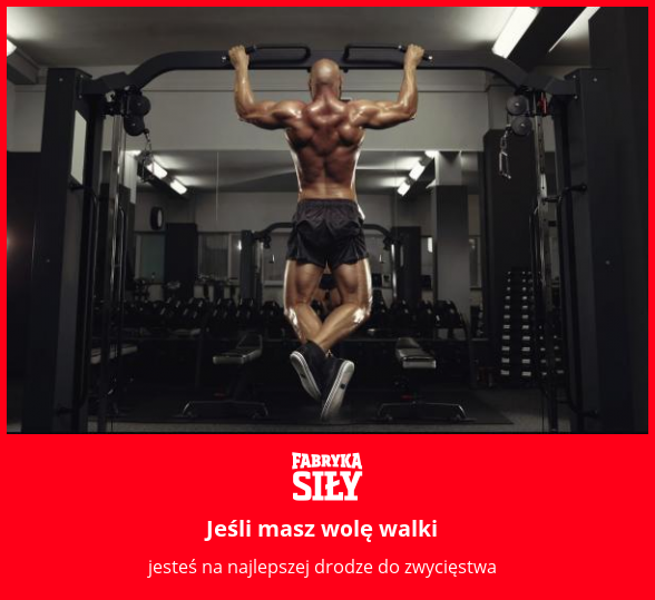 Jeśli masz wolę walki - motywacja do treningu - Fabryka Siły