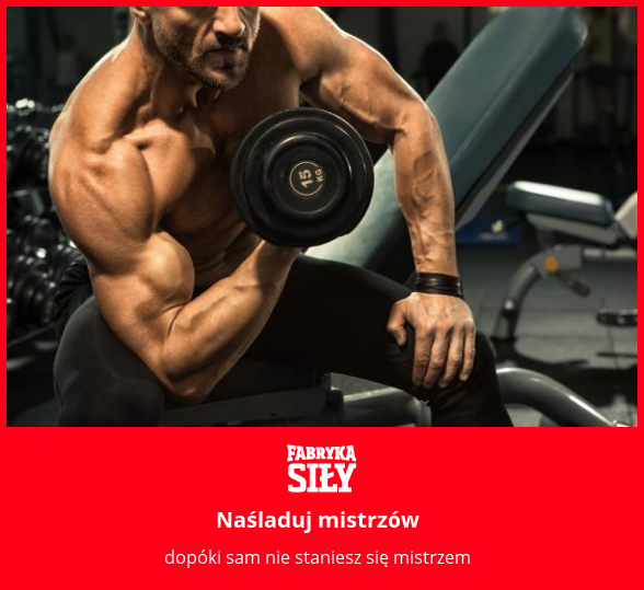 Naśladuj mistrzów - motywacja do treningu - Fabryka Siły