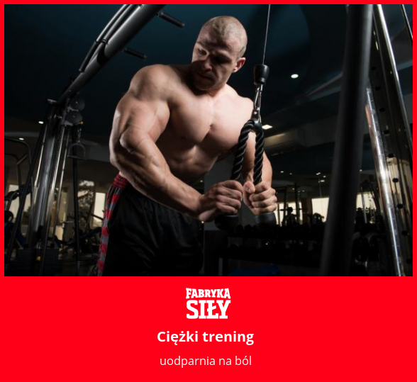 Ciężki trening  - motywacja do treningu - Fabryka Siły