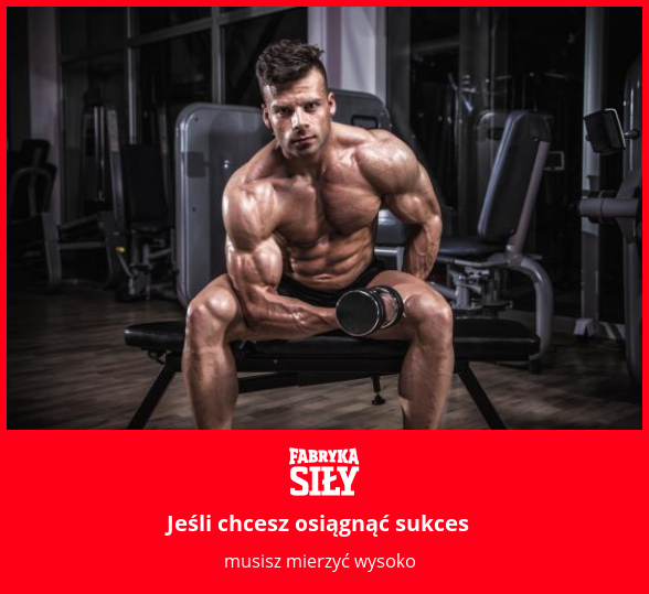 Jeśli chcesz osiągnąć sukces - motywacja do treningu - Fabryka Siły