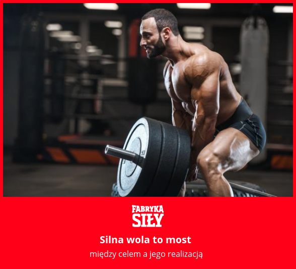 Silna wola to most - motywacja do treningu - Fabryka Siły