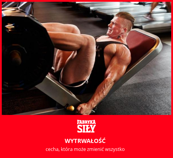WYTRWAŁOŚĆ - motywacja do treningu - Fabryka Siły