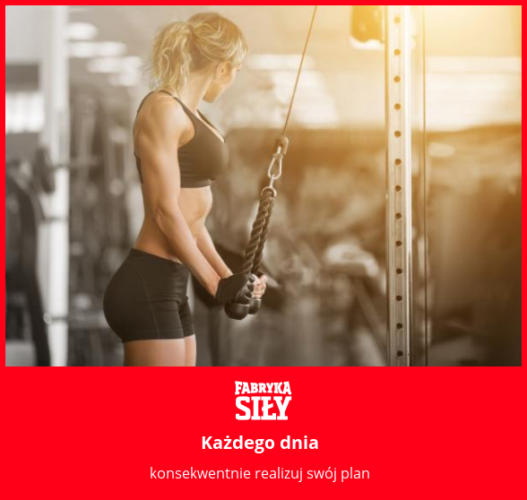 Każdego dnia - motywacja do treningu - Fabryka Siły