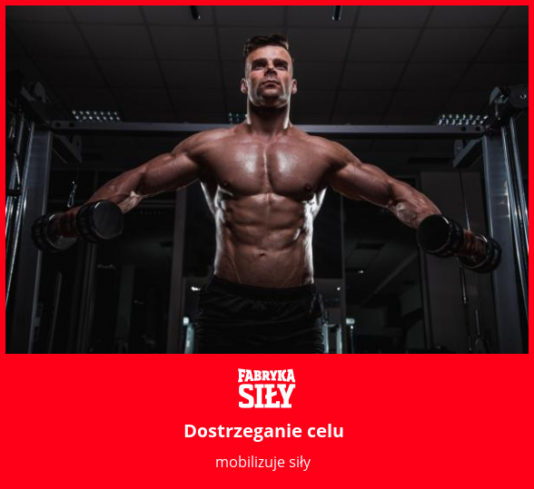 Dostrzeganie celu - motywacja do treningu - Fabryka Siły