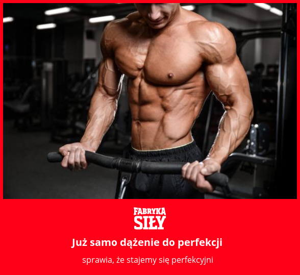 Już samo dążenie do perfekcji - motywacja do treningu - Fabryka Siły
