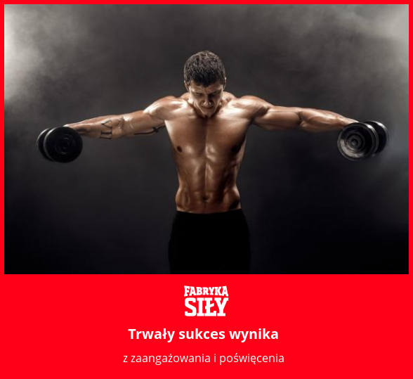 Trwały sukces wynika - motywacja do treningu - Fabryka Siły
