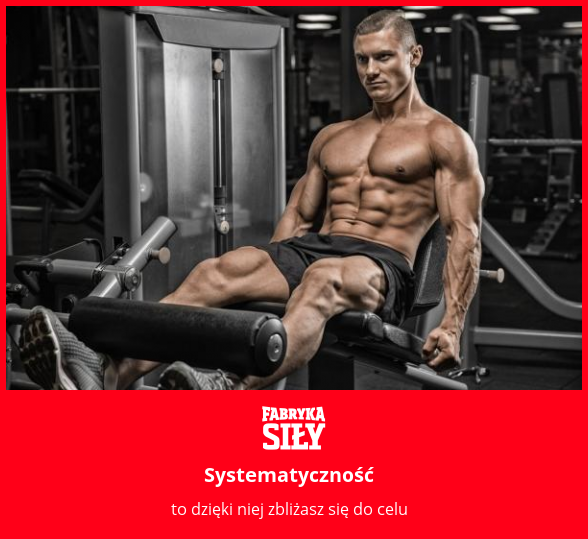 Systematyczność - motywacja do treningu - Fabryka Siły
