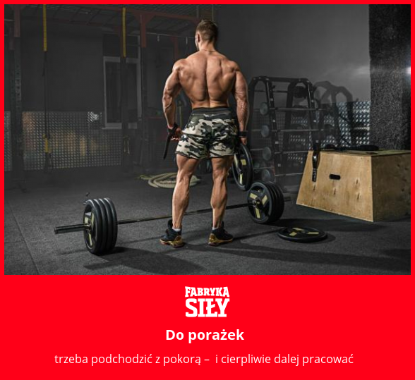 Do porażek  - motywacja do treningu - Fabryka Siły
