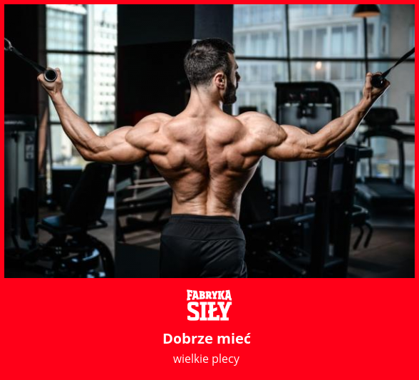 Dobrze mieć - motywacja do treningu - Fabryka Siły