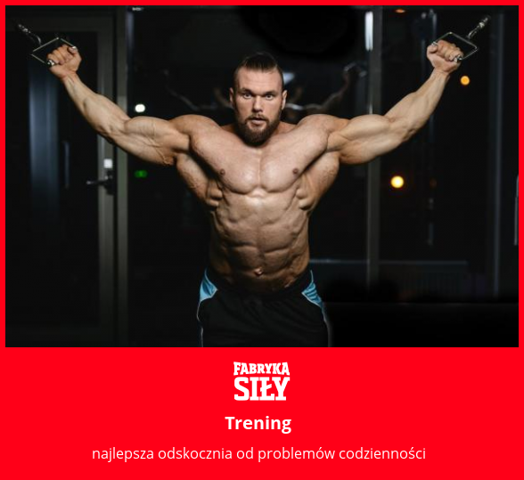 Trening - motywacja do treningu - Fabryka Siły