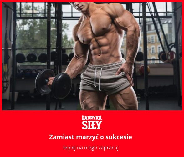 Zamiast marzyć o sukcesie - motywacja do treningu - Fabryka Siły