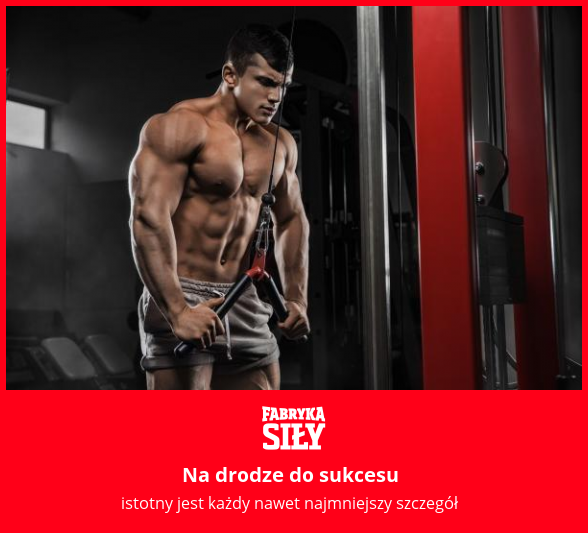 Na drodze do sukcesu - motywacja do treningu - Fabryka Siły