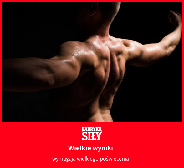 Wielkie wyniki - motywacja do treningu - Fabryka Siły