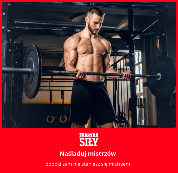 Naśladuj mistrzów - motywacja do treningu - Fabryka Siły