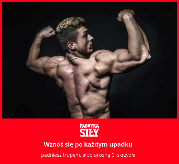 Wznoś się po każdym upadku - motywacja do treningu - Fabryka Siły