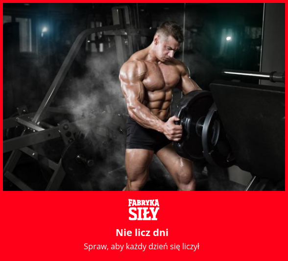 Nie licz dni  - motywacja do treningu - Fabryka Siły