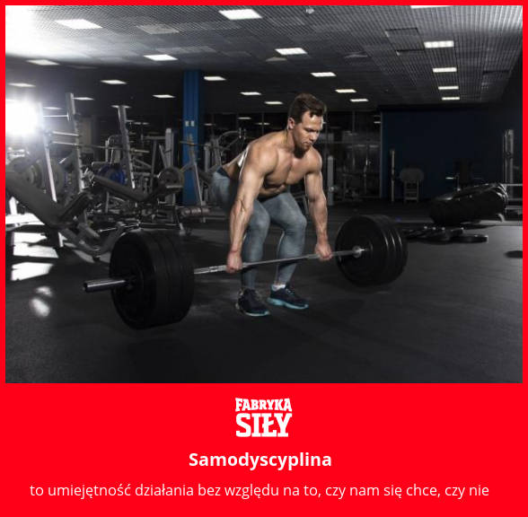 Samodyscyplina  - motywacja do treningu - Fabryka Siły