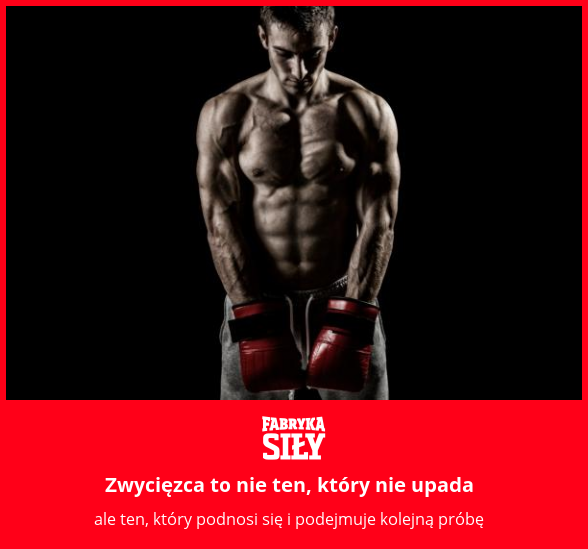 Zwycięzca to nie ten, który nie upada - motywacja do treningu - Fabryka Siły