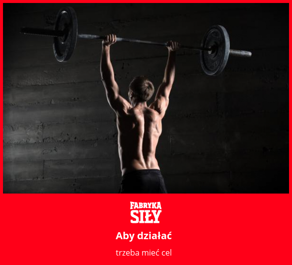 Aby działać  - motywacja do treningu - Fabryka Siły