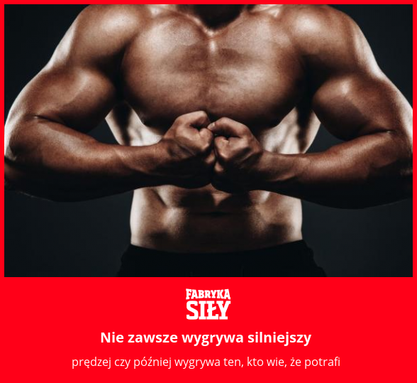 Nie zawsze wygrywa silniejszy - motywacja do treningu - Fabryka Siły