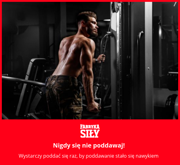 Nigdy się nie poddawaj! - motywacja do treningu - Fabryka Siły
