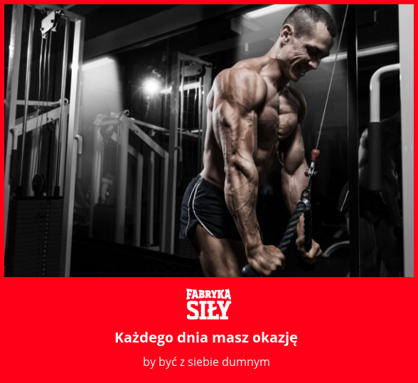 Każdego dnia masz okazję - motywacja do treningu - Fabryka Siły