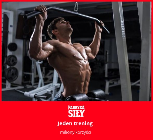 Jeden trening - motywacja do treningu - Fabryka Siły