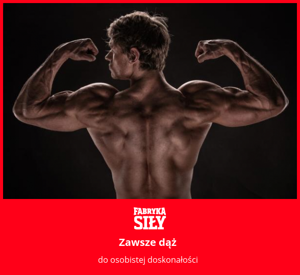 Zawsze dąż  - motywacja do treningu - Fabryka Siły