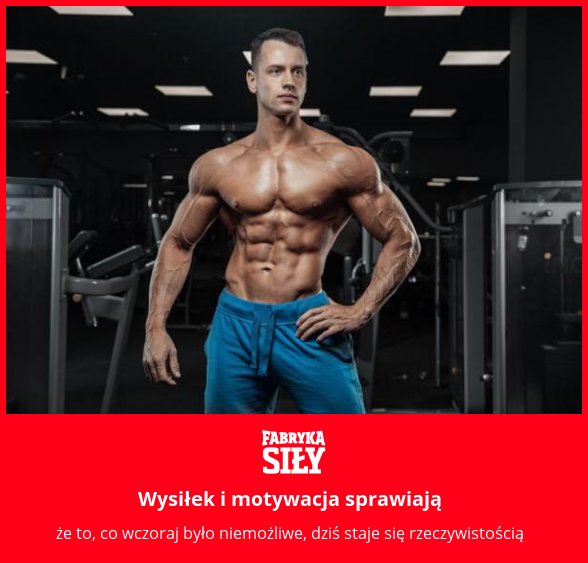 Wysiłek i motywacja sprawiają - motywacja do treningu - Fabryka Siły