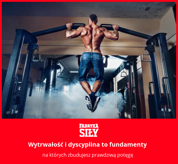 Wytrwałość i dyscyplina to fundamenty - motywacja do treningu - Fabryka Siły
