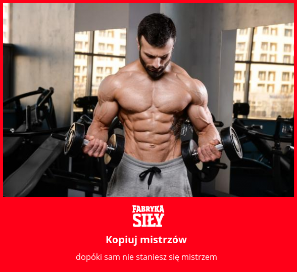 Kopiuj mistrzów - motywacja do treningu - Fabryka Siły