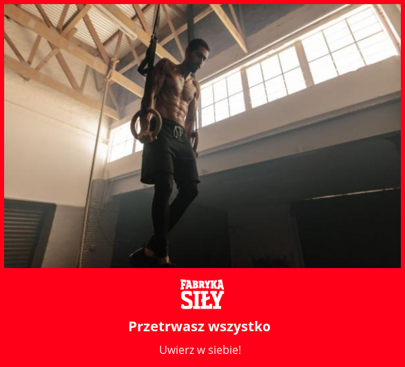 Przetrwasz wszystko - motywacja do treningu - Fabryka Siły