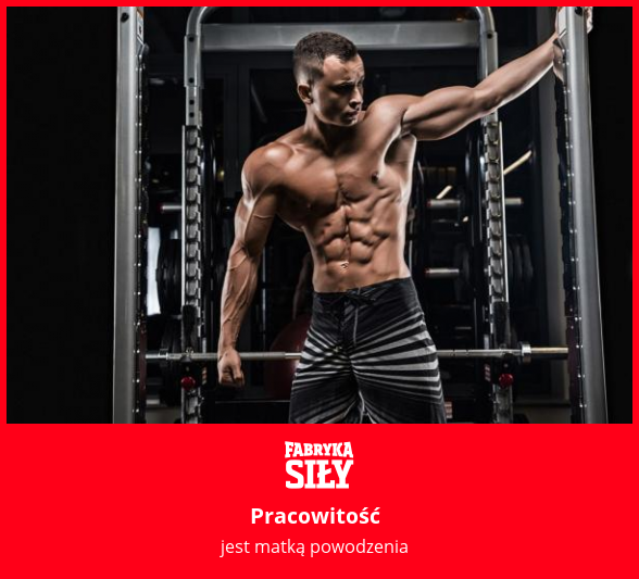 Pracowitość - motywacja do treningu - Fabryka Siły