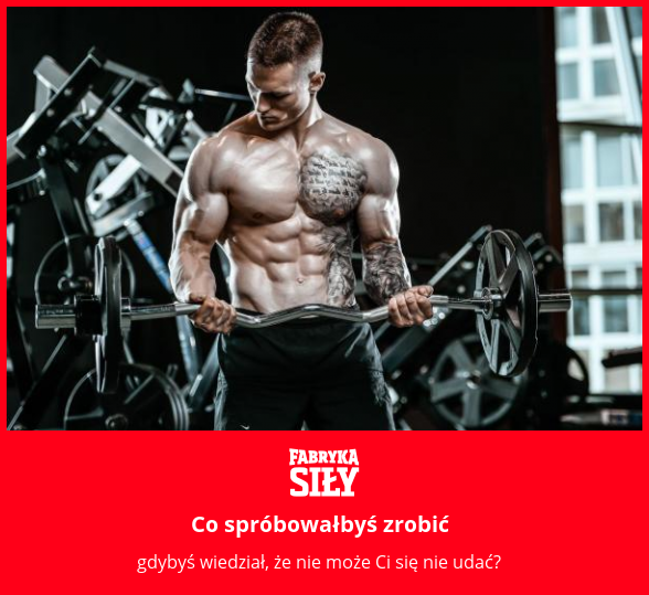 Co spróbowałbyś zrobić - motywacja do treningu - Fabryka Siły