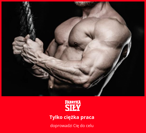 Tylko ciężka praca - motywacja do treningu - Fabryka Siły